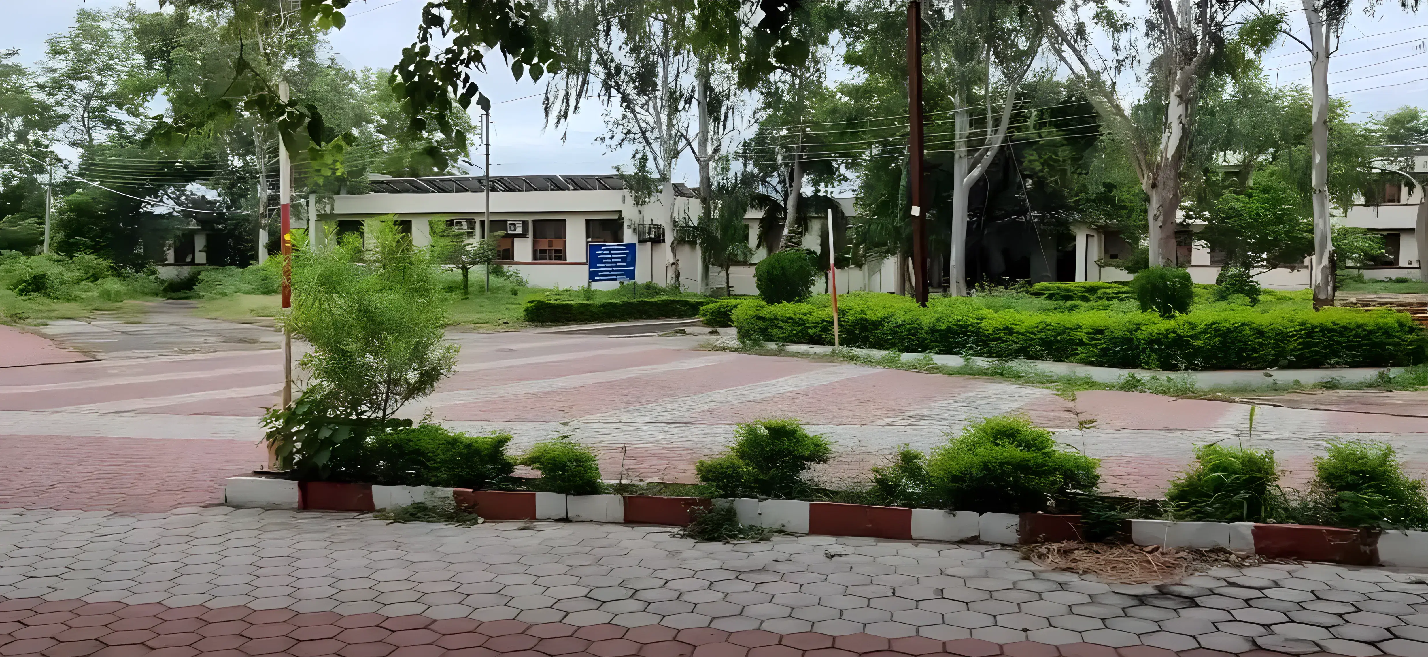 Barkatullah University Institute of Technology Bhopal Campus photo 1